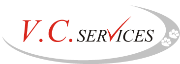 VC Services